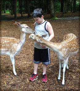 photo of Boy with fawns