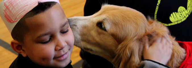Dog days: School therapy dog programs promote social and academic skill sets